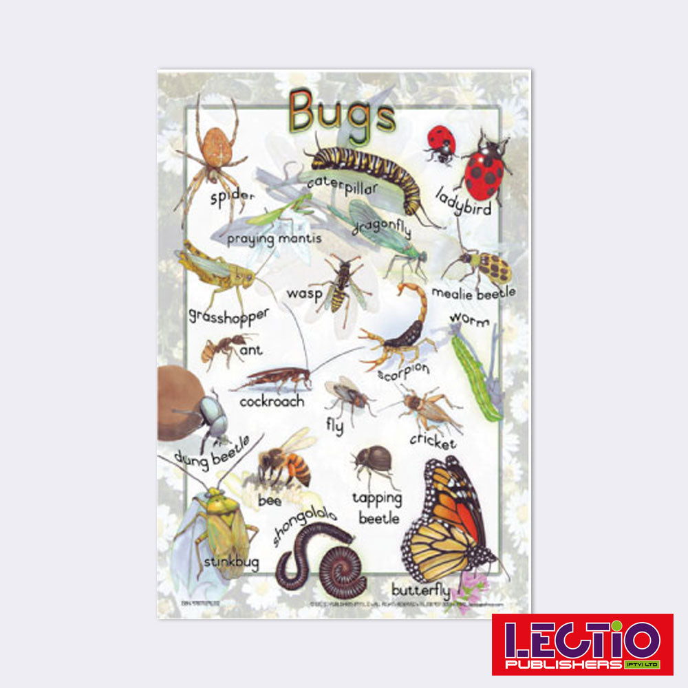 Bug Name:david Bugs β Lectio Publishers