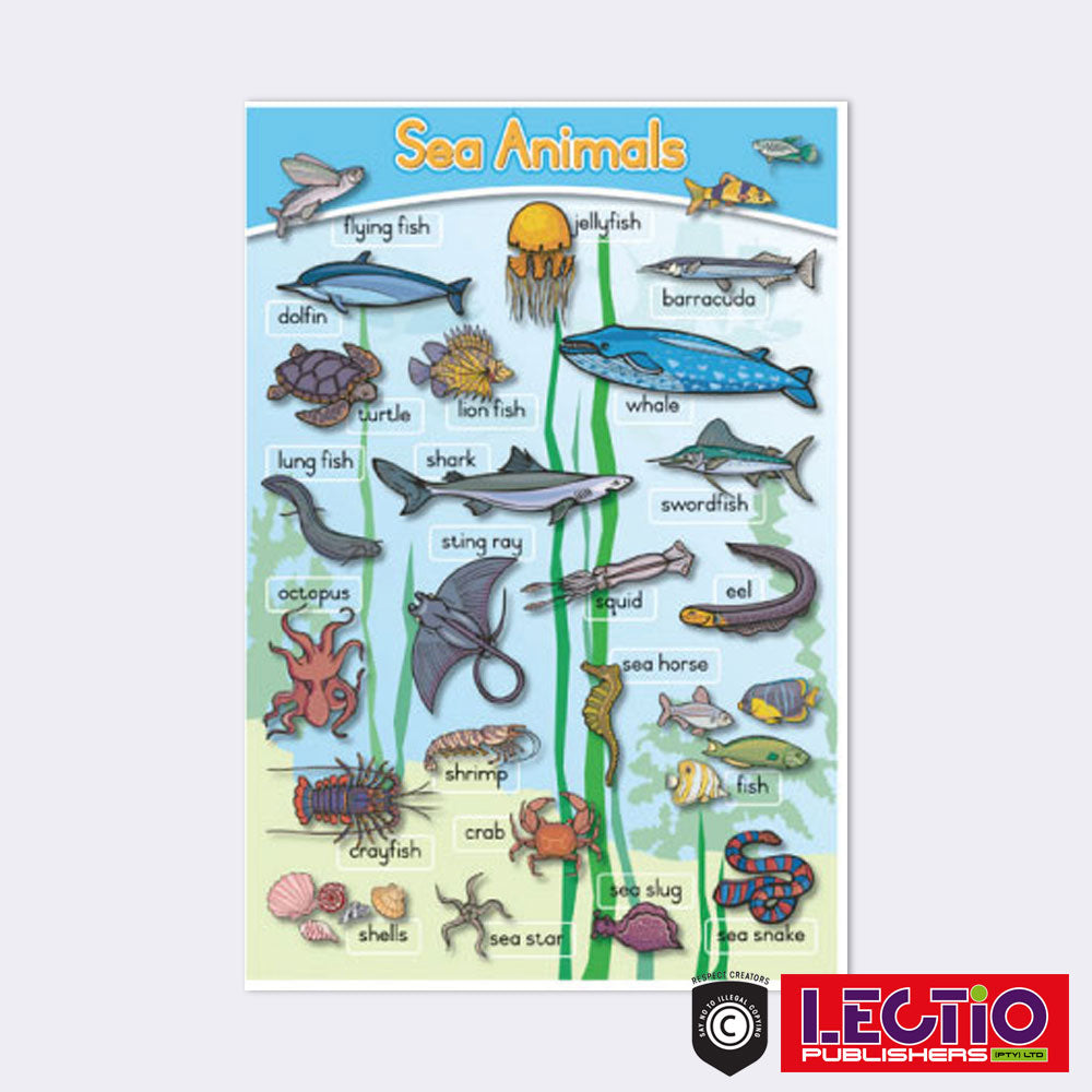 Sea Animals – Lectio Publishers
