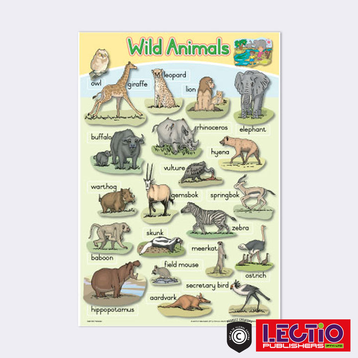 Foundation Phase Posters – Lectio Publishers